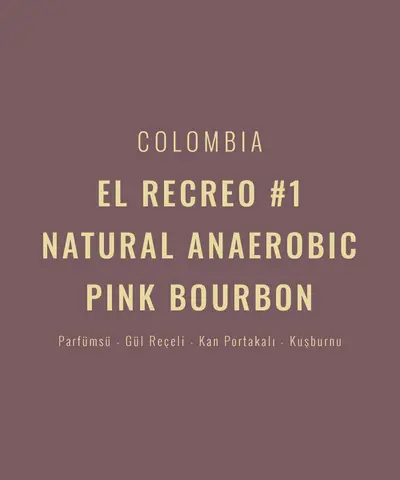 Colombia – El Recreo #1 Natural Anaerobic