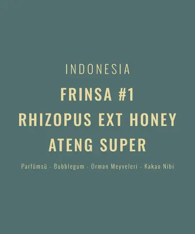 Indonesia – Frinsa #1 Rhizopus Ext Honey