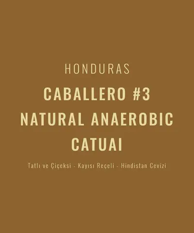 Honduras – Caballero #3 Natural Anaerobic