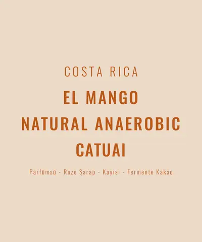 Costa Rica – El Mango Natural Anaerobic