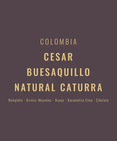 Colombia – Cesar Buesaquillo Natural Caturra