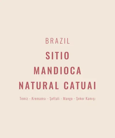 Brazil – Sitio Mandioca Natural Catuai