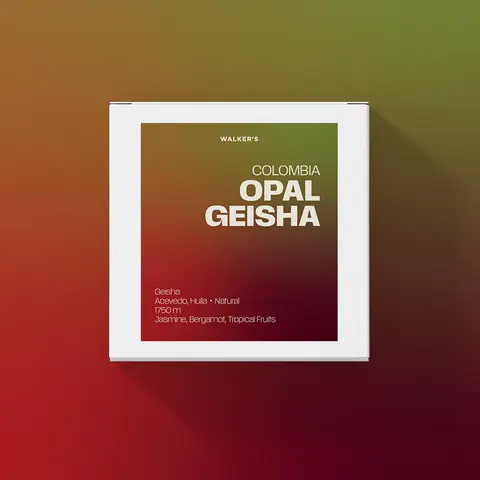 Colombia Opal Geisha