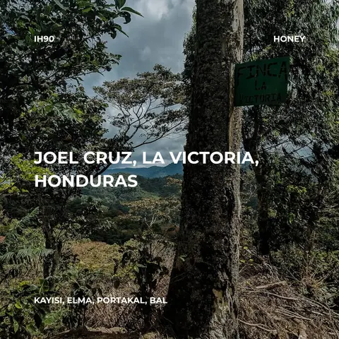 Joel Cruz, La Victoria, Honduras