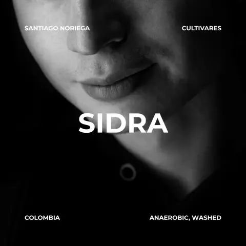 Santiago Noriega, Cultivares, Colombia, Sidra