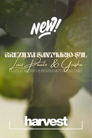 Brezilya Santuario Sul Geisha & Luiz Paulo