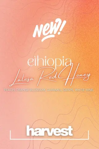 Ethiopia Lalesa Red Honey
